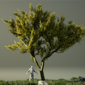 Cinemagraph Photography for Digital Ads